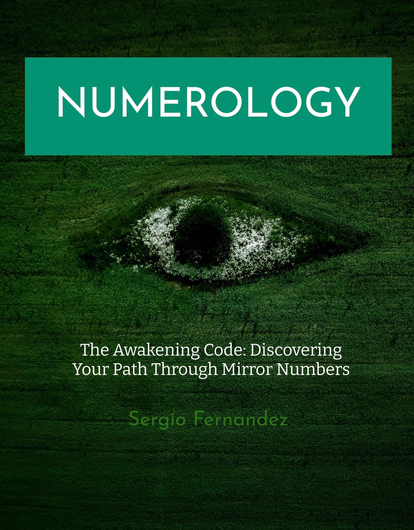 The awakening code Discovering your path through mirror numbers