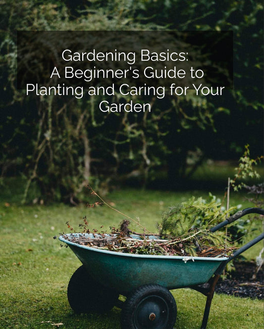 Gardening Basics A Beginner's Guide to Planting and Caring for Your Garden