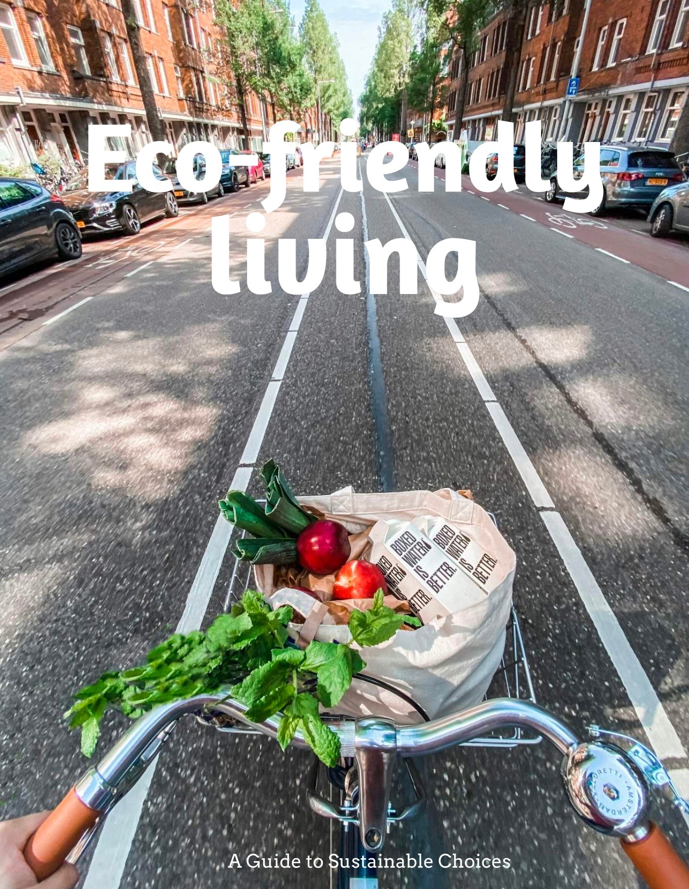 Eco-Friendly Living A Guide to Sustainable Choices