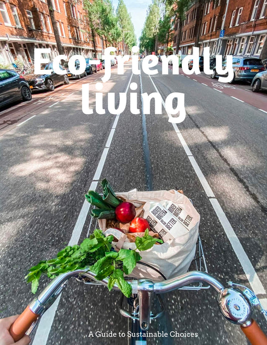 Eco-Friendly Living A Guide to Sustainable Choices
